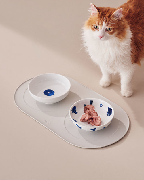 Itsumo pet Yunoki ware Default Title Cat bowl Alessi 1