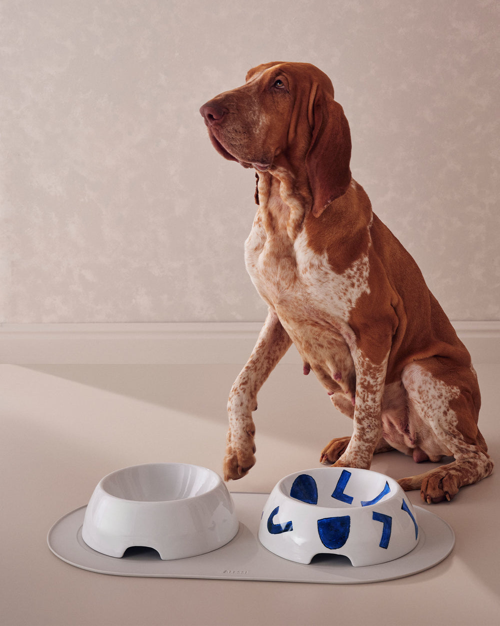 White ceramic dog bowls by Alessi, one decorated with blue abstract patterns, on a gray mat beside a large spotted dog.