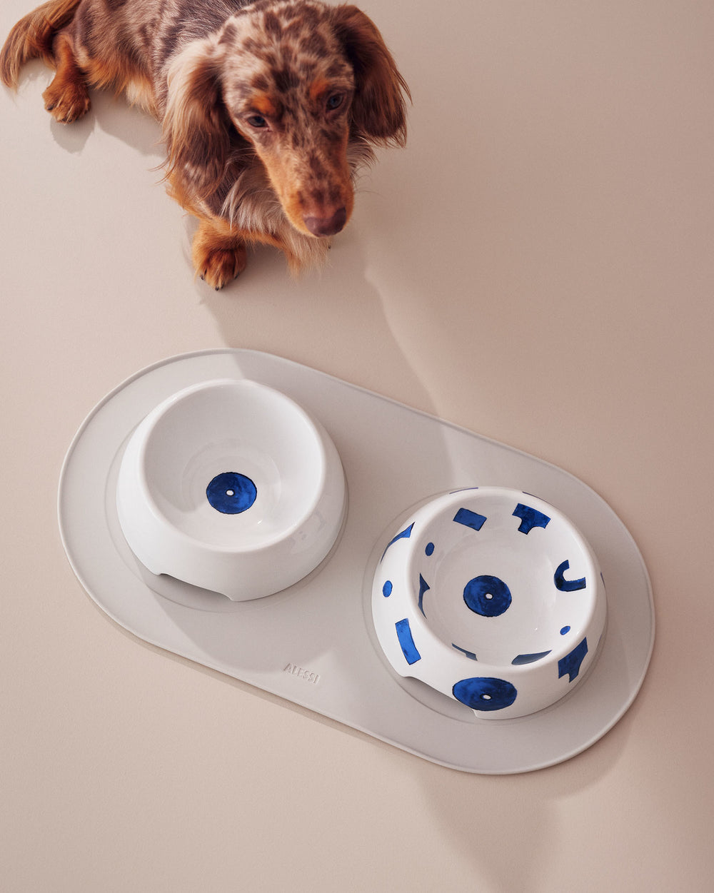 Two white ceramic dog bowls by Alessi on a grey mat, one with a blue dot, the other with blue geometric shapes, beside a dappled dachshund.